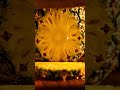 Amazing Pinapple Cutting ASMR Sound #ASMR #FruitSlicing #JuicySounds