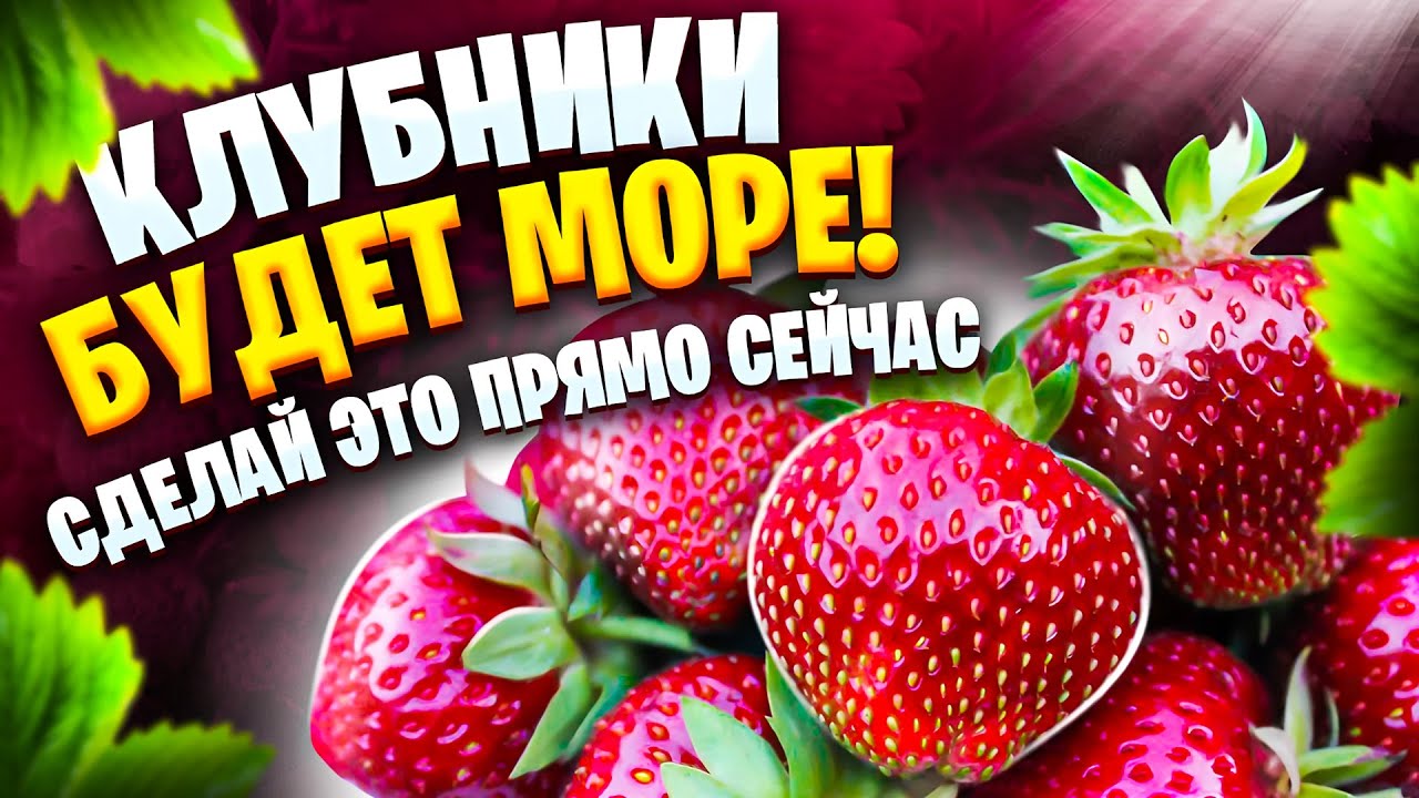 Строительство 21-го века