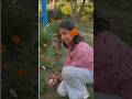 Beautiful Garden Enjoy Moment 🌿 | Nature Time | Gavya Edu Zone