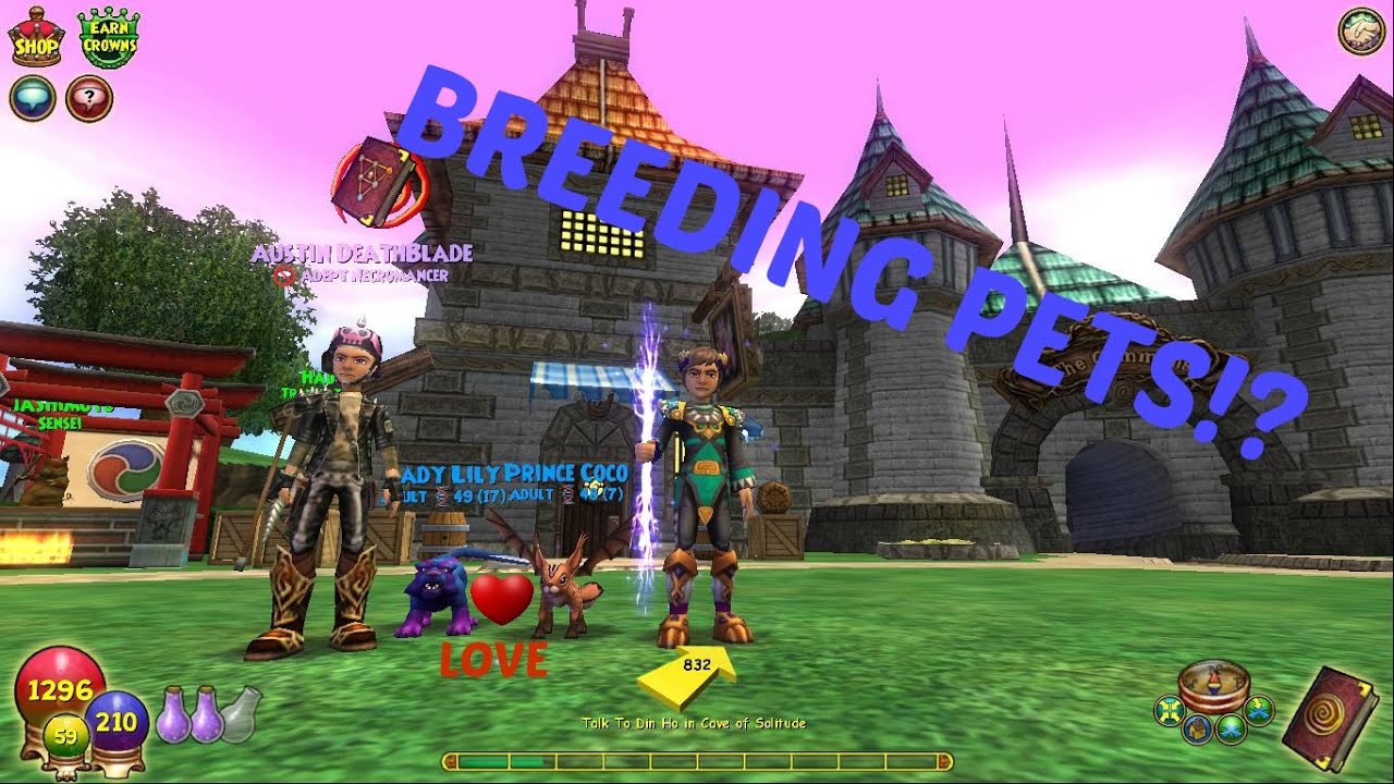 MAKING BABIES?! Wizard101( Pet Pavilion Gamepay ) YouTube