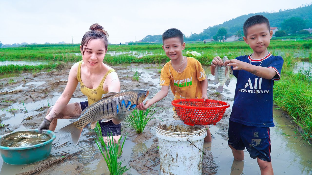 How to catch giant fish in the mud during the rainy season with ...