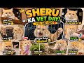 Sheru Ka Vet Day 😿💉 | Full Day Vlog | Vaccine, Treats & Frog Hunting 😂🐸