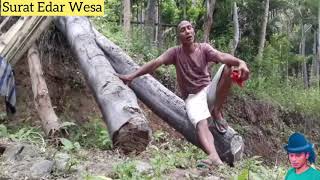 Download Lagu Lagu Manggarai trbaru || SURAT EDAR WESA MP3