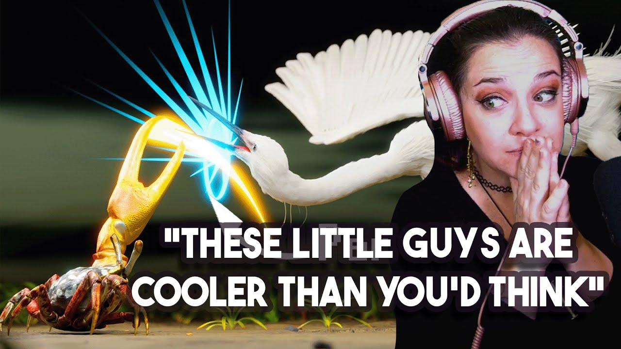 Реакция Лорен! Рейтинг ракообразных от TierZoo *Эти малыши круче, чем вы думаете!*