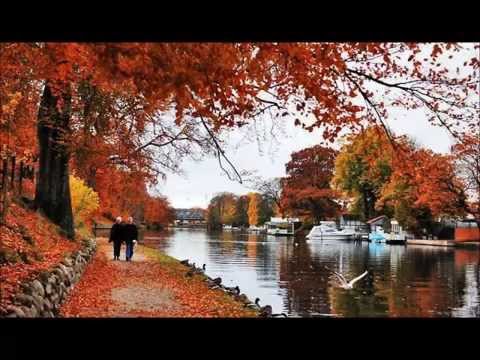 ENSTRUMANTAL TÜRK MÜZİĞİ -  Elbet Birgün Buluşacağız
