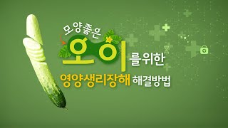오이 영양생리장해 맞춤 솔루션(해결방법)