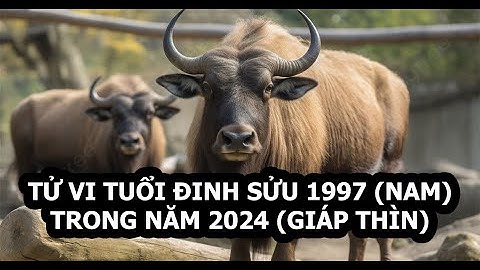 Tuổi sửu 1997 năm nay bao nhiêu tuổi năm 2024