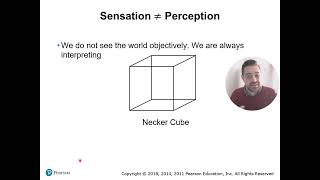 Chapter 6 Part 1 (Overview of Sensation & Perception)