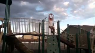 Parkour Freak-Daniel Wilson!!!