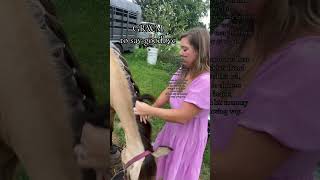 Saying goodbye to childhood horse