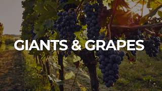 Giants & Grapes - UPCI Youth President DJ Hill