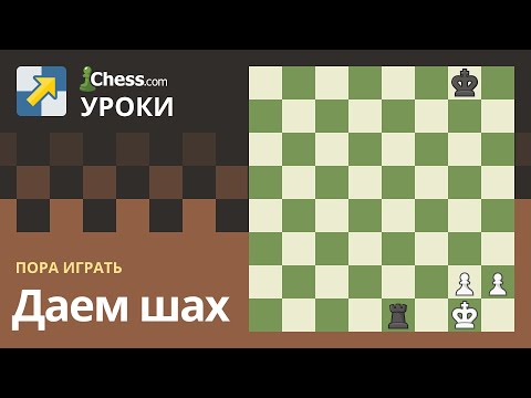 Правила шахмат: Даем шах