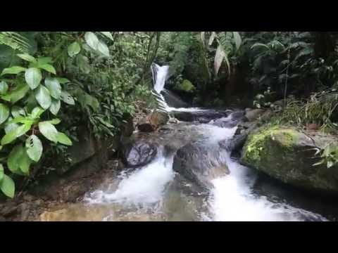 Sendero Culebra Boquete - Panama