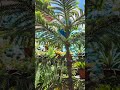 😍😍😲 ##viralvideo #naturecinematic #travel#nature #natutecalmrelaxing #creative #peace #Glorynature