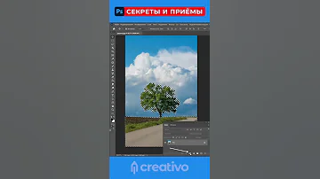 Как выделить и отделить от фона дерево в Photoshop. Секреты и приёмы фотошопа