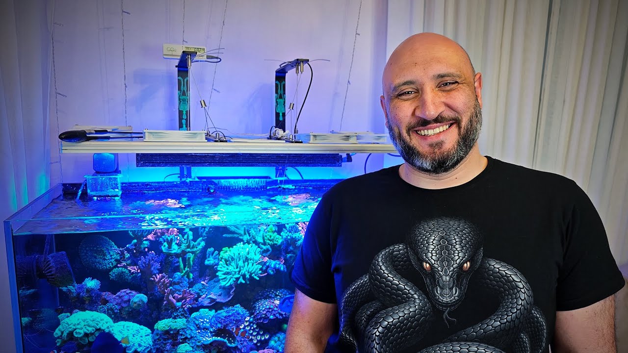 Риф Гарегина