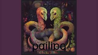 Tangled Snakes