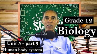 Famous Grade 12 Biology Unit 5 part-3 Human body system Wealth