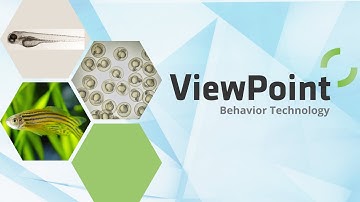 Zebrafish and other aquatic species behavior analysis