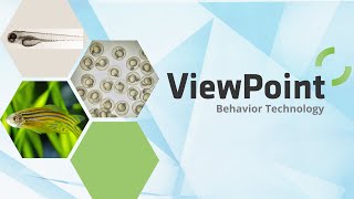 Zebrafish And Other Aquatic Species Behavior Analysis