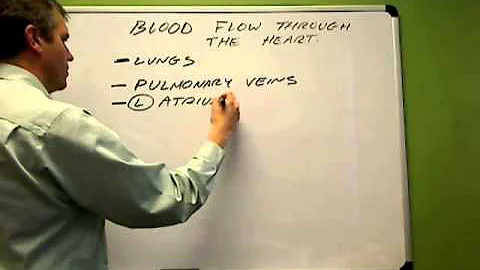 blood flow through the heart