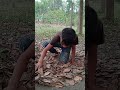 Comedy Video Bibek Limbu Comedy Comedyvideo Youtubeshorts Goviral Comedy Video Bibek Limbu Comedy Comedyvideo Youtubeshorts Goviral