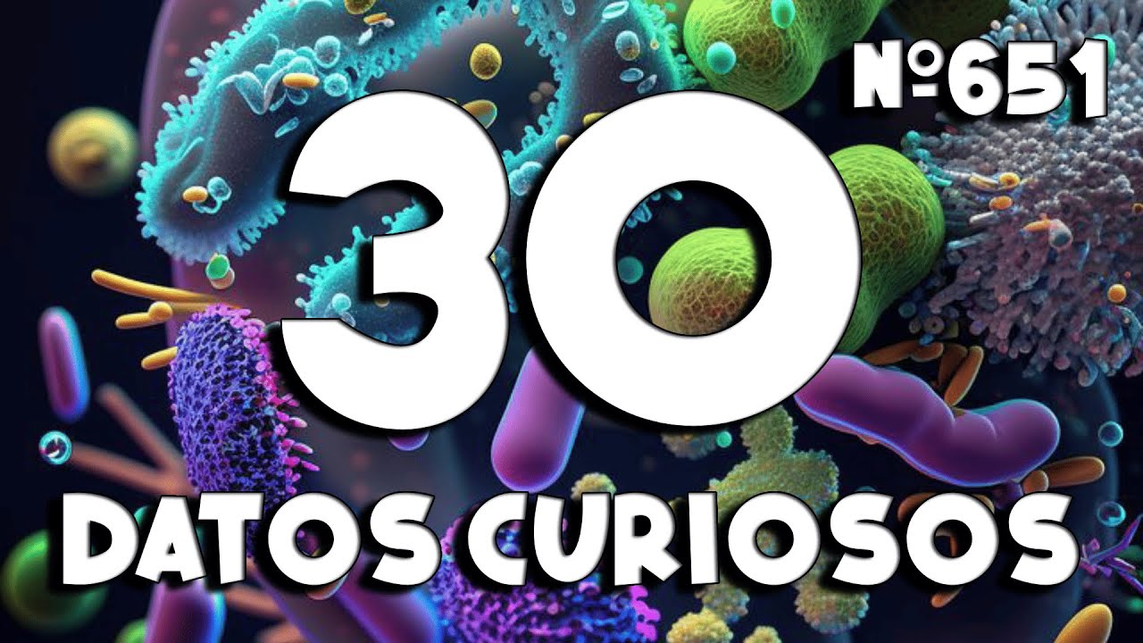 30 DATOS CURIOSOS y COSAS QUE NO SABÍAS ⏰😲 651 