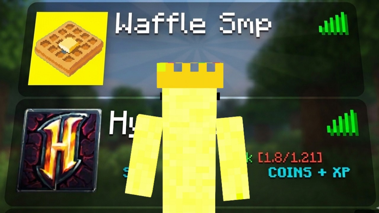 I made my own Minecraft server! (WaffleSmp) - YouTube