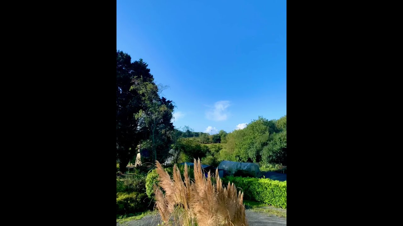 видео номер 16 