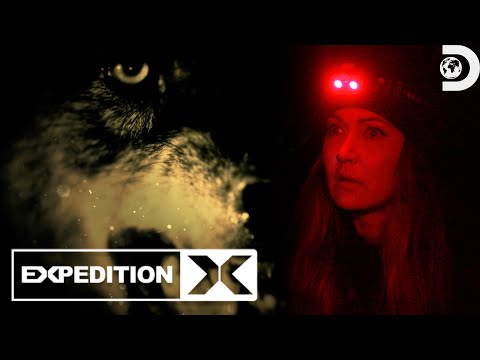 The Legendary Beasts of Britain | Expedition X | Discovery