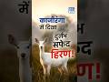 Rare Albino Hog Deer Spotted in Kaziranga! | Albino Deer ने Scientists को किया हैरान| NEXT IAS HINDI