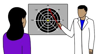 Testing Your Visual Field - Hadley Workshops