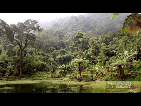 Image result for telaga pucung
