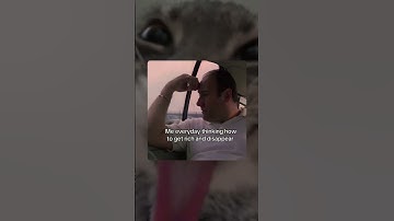 Day 1 posting memes until I hit 1M subs