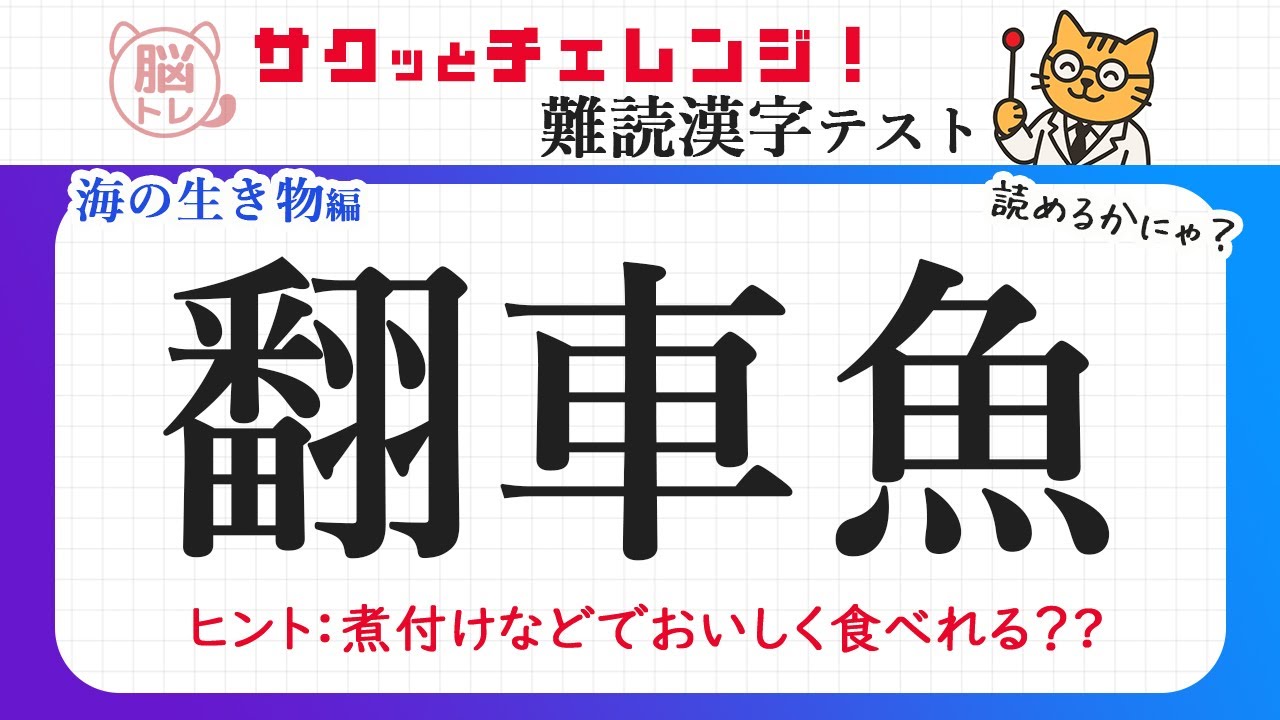 【読めない？漢字クイズ】全5問！難読漢字クイズ！海の生き物編【にゃー太の脳トレ】