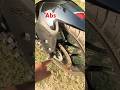 Bajaj pulsar N160 full modified killer look top modification #shorts #trending #n160 #pulsarn160