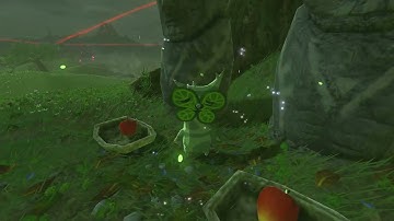 [DAY 687] of finding one korok seed everyday until Totk comes out