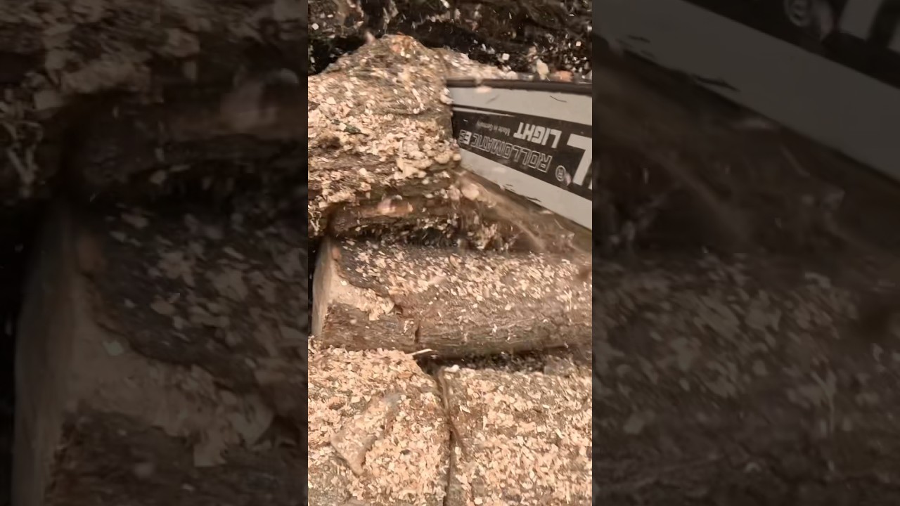 Log Pile DANGER‼️⚠️🍁