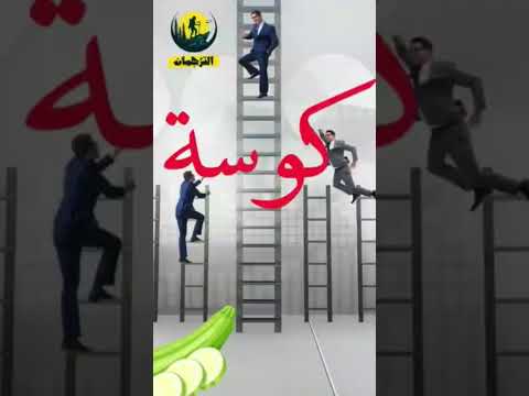ما هي كوسه بقي من أشهر الأمثال المصرية قصة المثل  