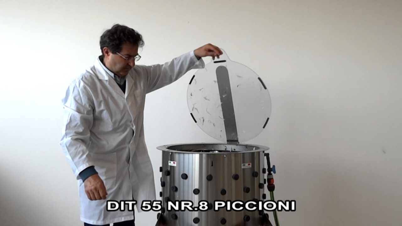 Spiumatrice DIT 55 | 8 piccioni