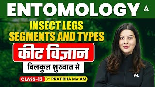 Entomology Insect legs- Segments and types | कीट विज्ञान बिलकुल शुरुवात से Class 13 | By Pratibha