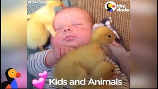 Kids and Animals LOVE Each Other Compilation | The Dodo