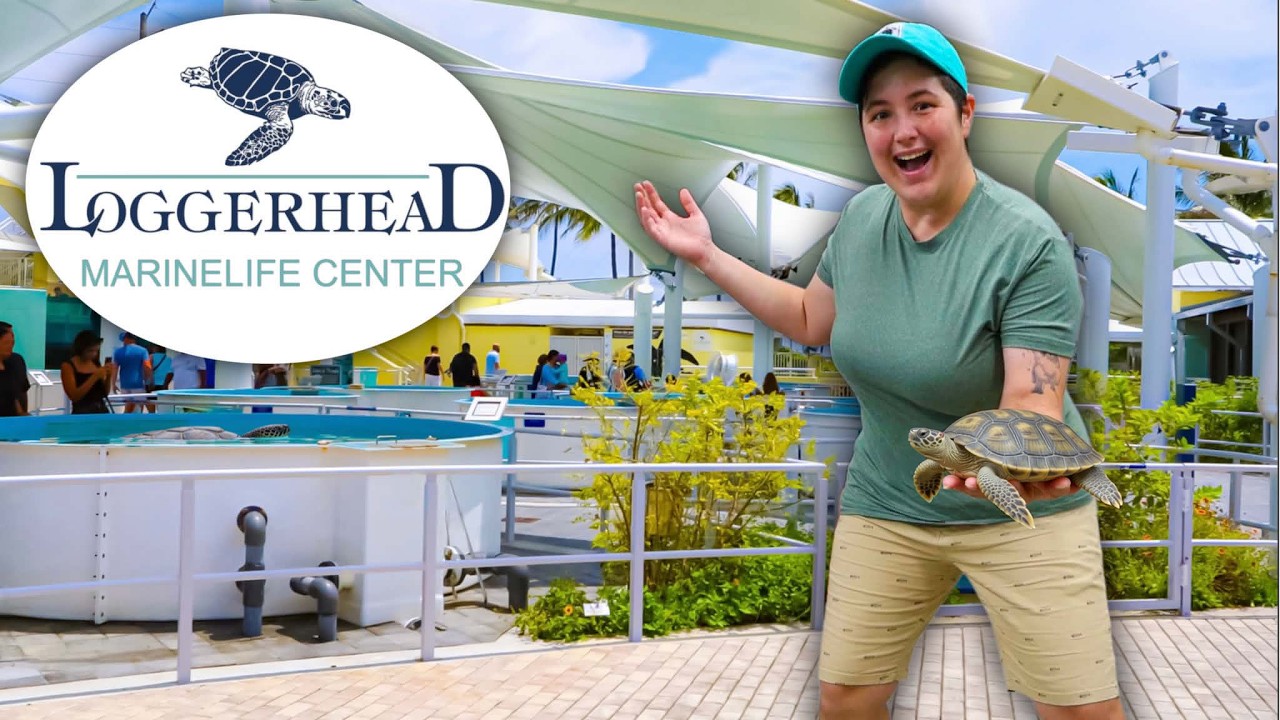 Touring a Sea Turtle Rehab Center!!