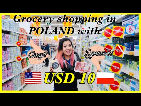 What 10 USD can get you in Poland | Grocery shopping in Poland |Faye's Diary