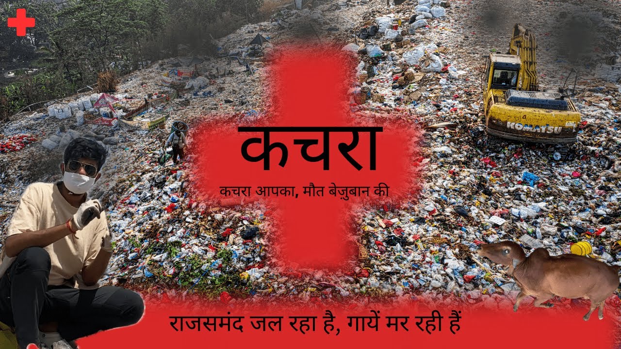 प्लास्टिक महामारी: रोज़ हो रही हैं मौतें