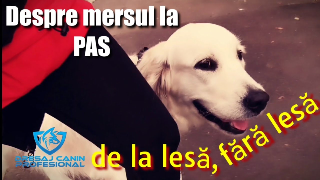 Despre mersul la PAS. De la simplu la nivel avansat.