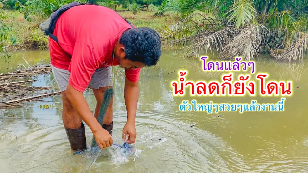 วันนี้โดนของดีกันหลายตัว น้ำลดก็ยังมัน