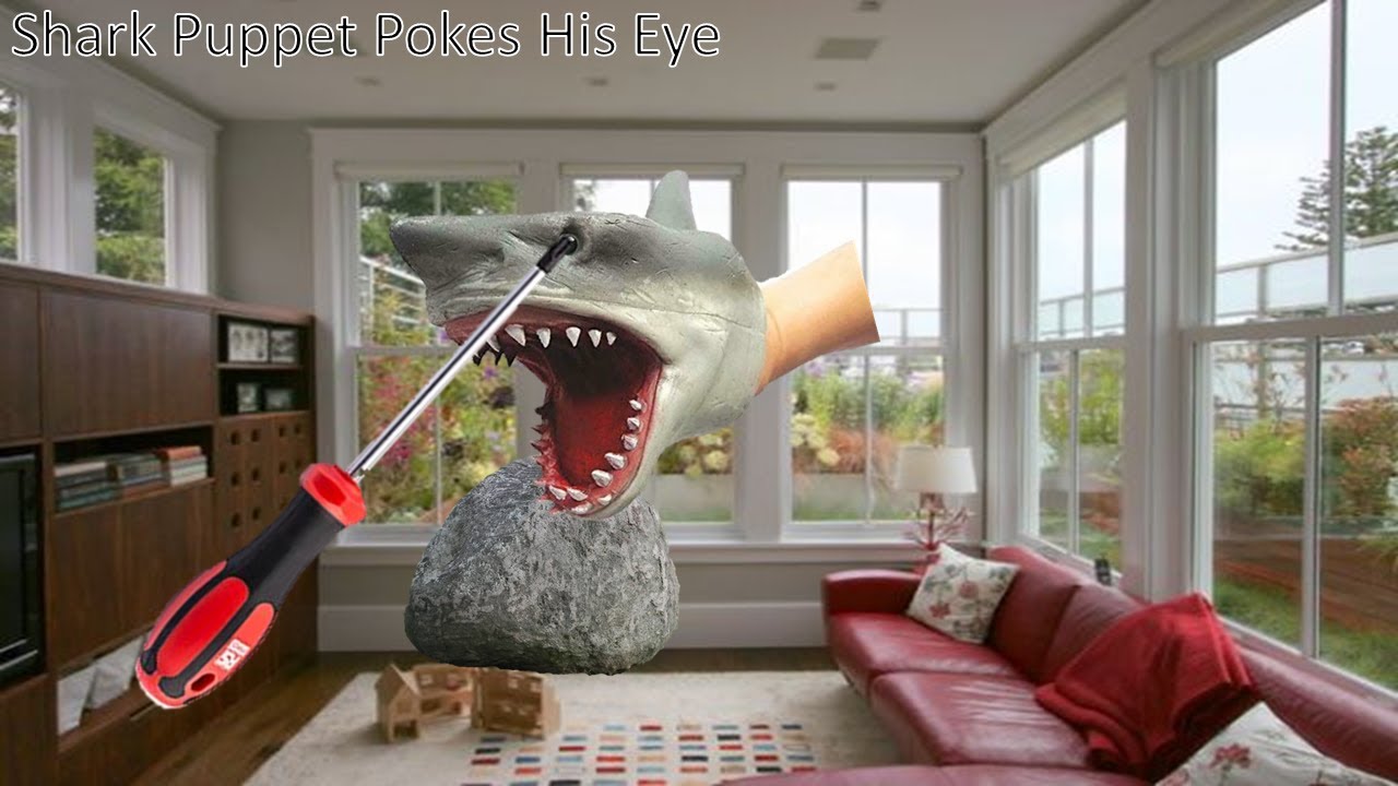 SHARK PUPPET POKES HIS EYE!!!! - YouTube