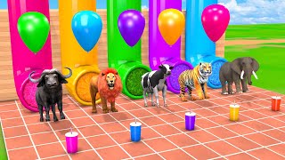 Long Slide Game With Cow Elephant Tiger Gorilla TRex 3d Animal Game Funny 3d Animals Cage Game