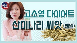 고소영 다이어트 펜넬 본초 '회향(산미나리 씨앗)'